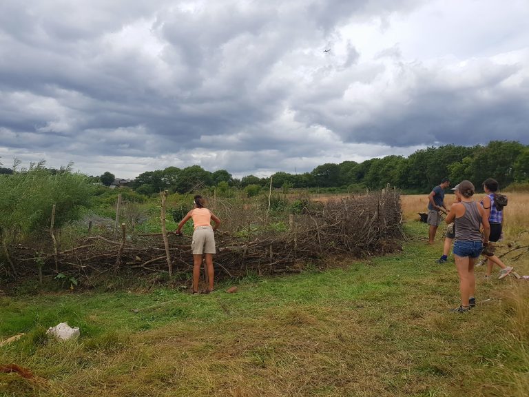 STONEY ORCHARD 768x576