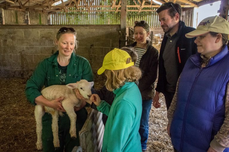 Nicola Westlake holding lamb for Lambing experience at Westy Worzel Manor Mill Farm Branscombe East Devon © Chris Bass Photography scaled 1 768x511