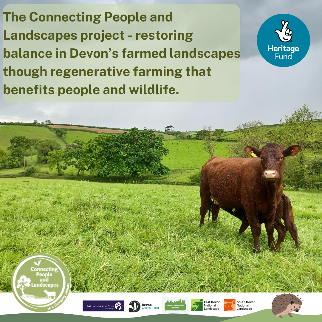 Connecting People and Landscapes