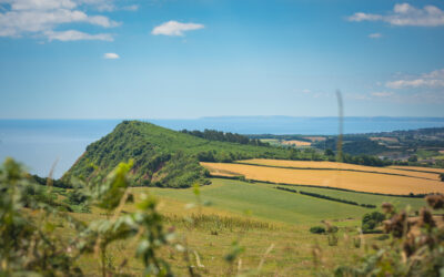 Linking East Devon’s Dramatic Cliffs with our Rolling Hills