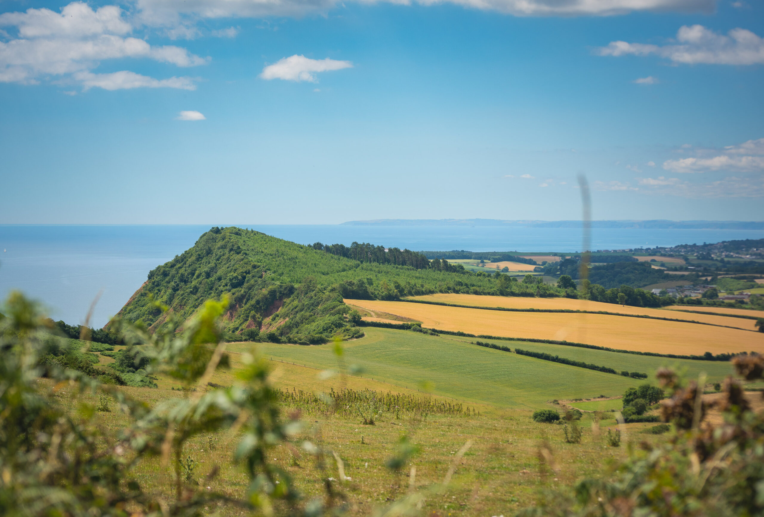 Dramatic Cliffs and Rolling Hills in the East Devon National Landscape