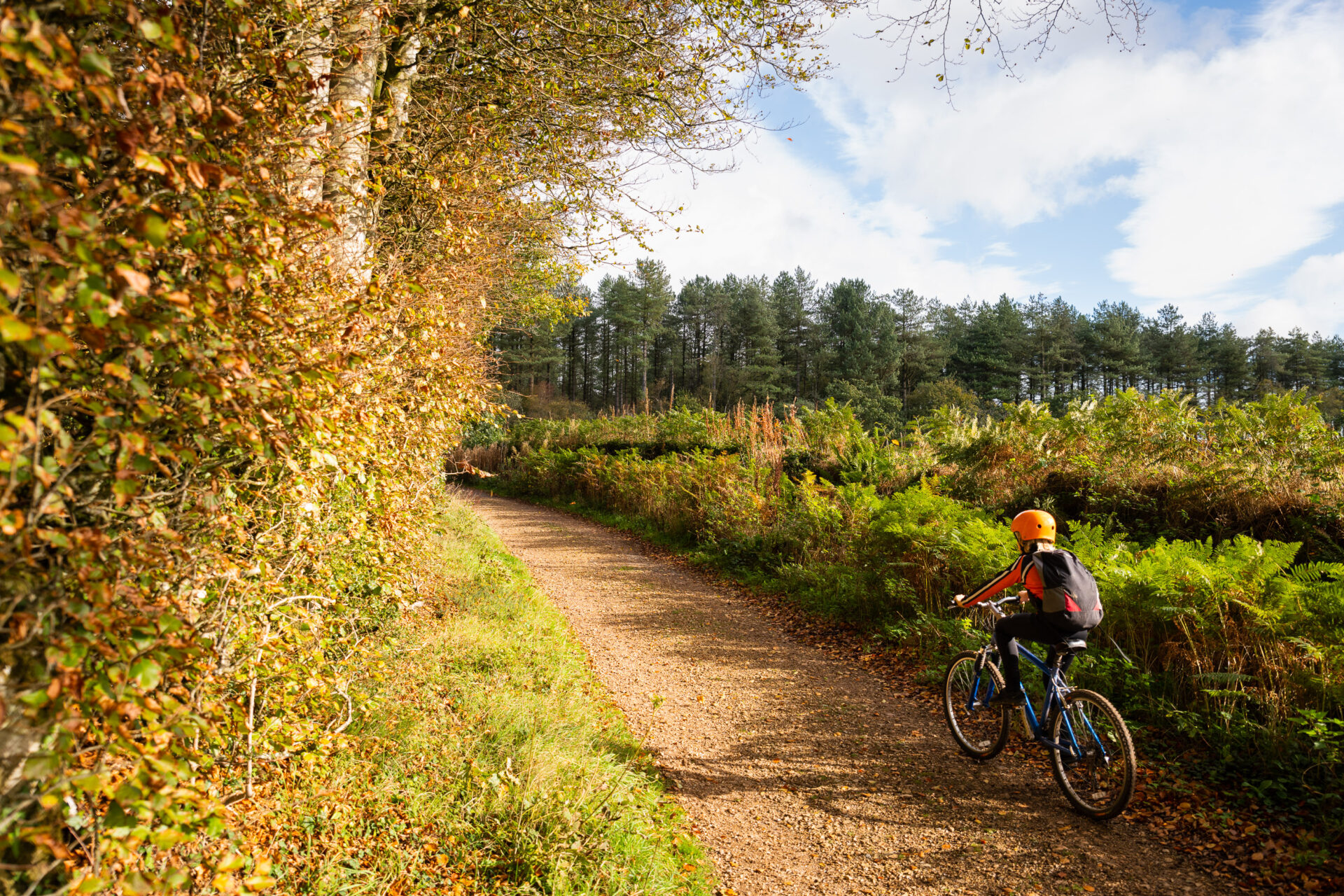 National Cycle Network: Route 2