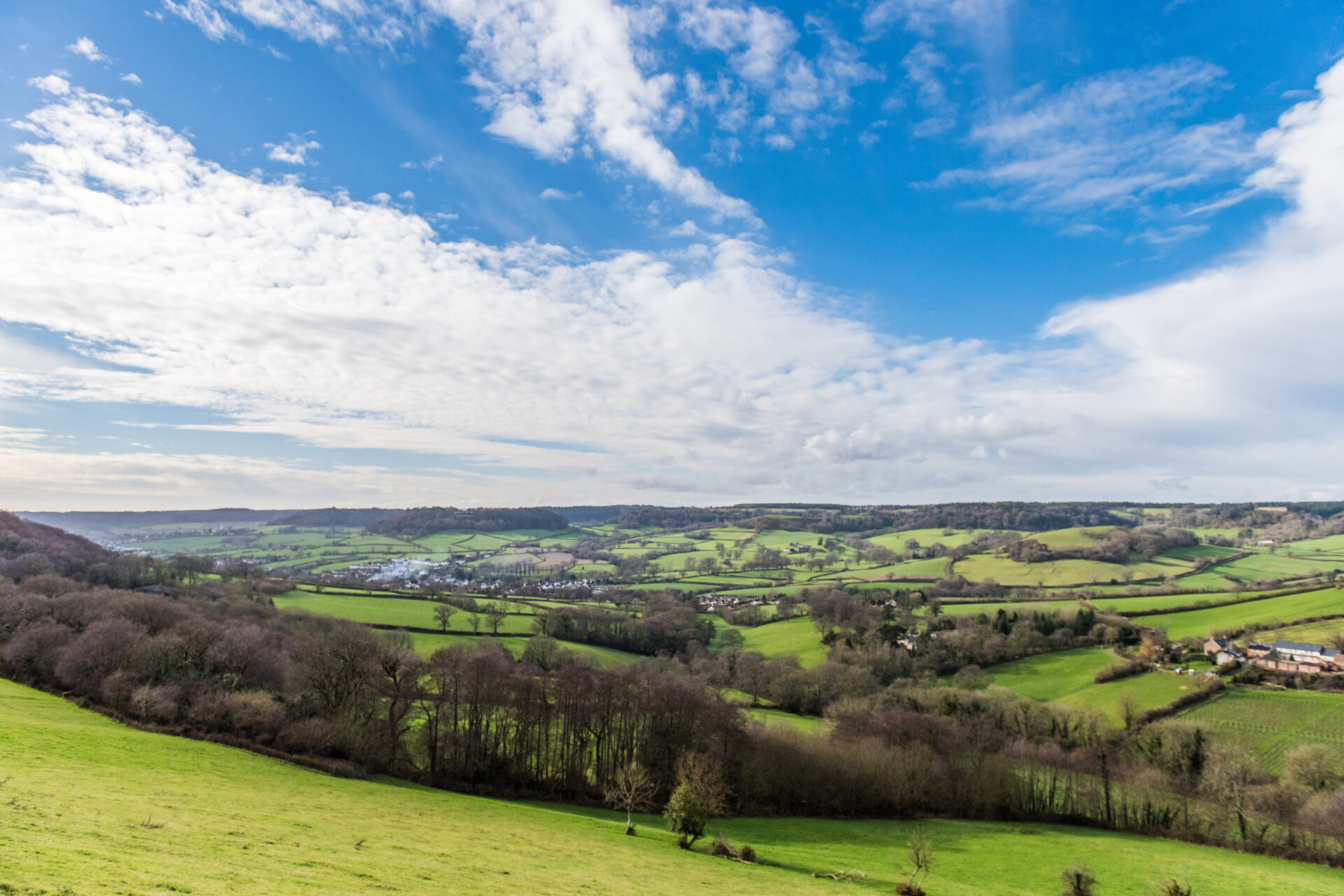 Long distance view of green fields and woodland in winter