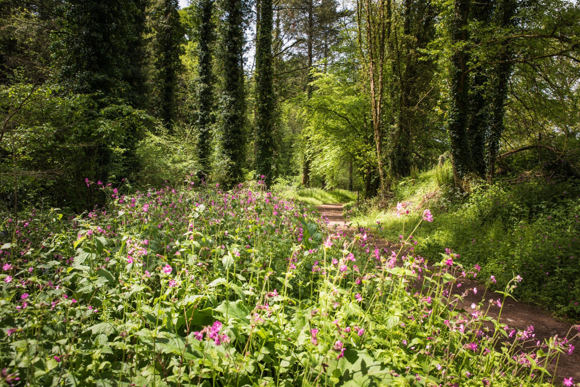 Saving Special Species