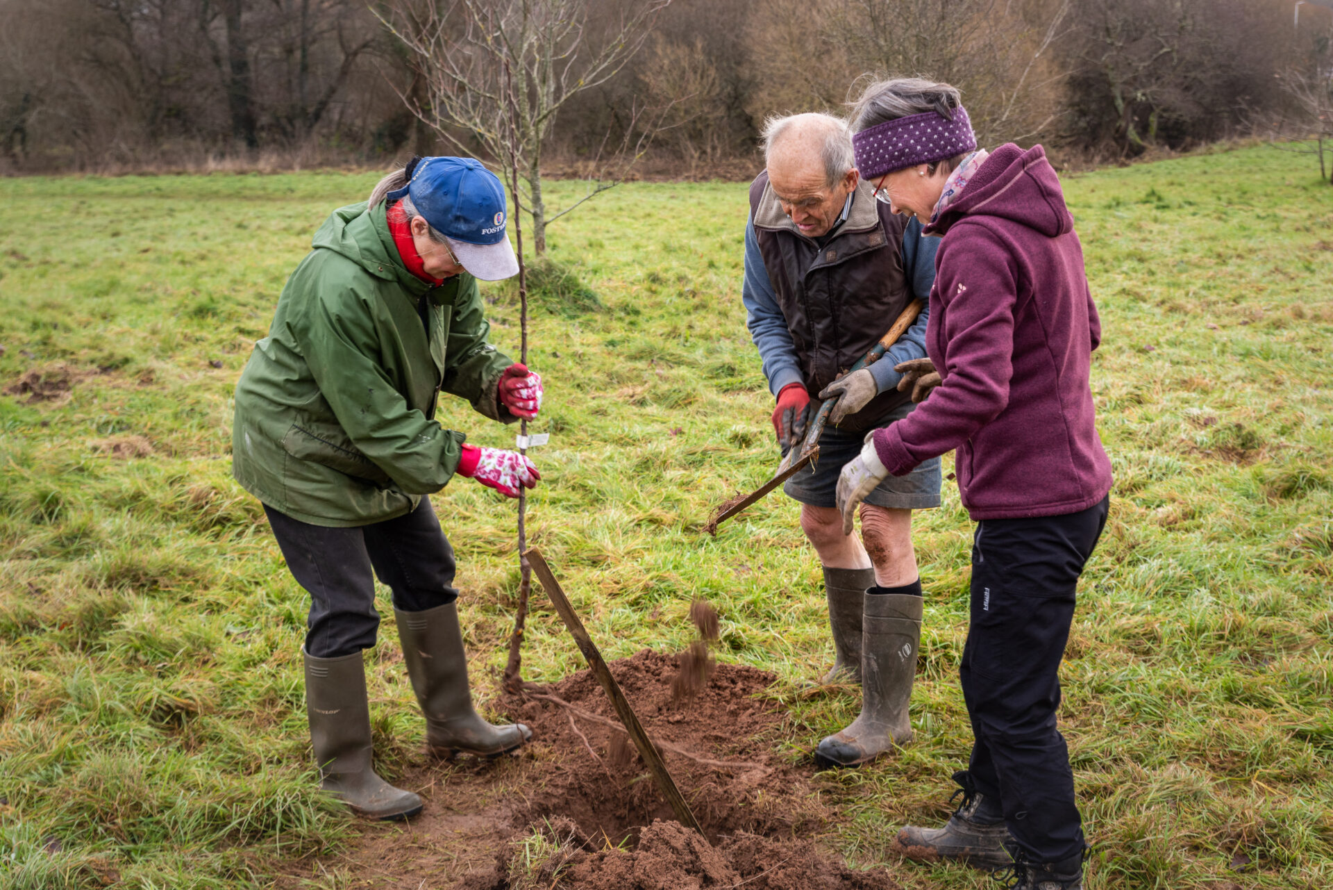 three people planting a sapling