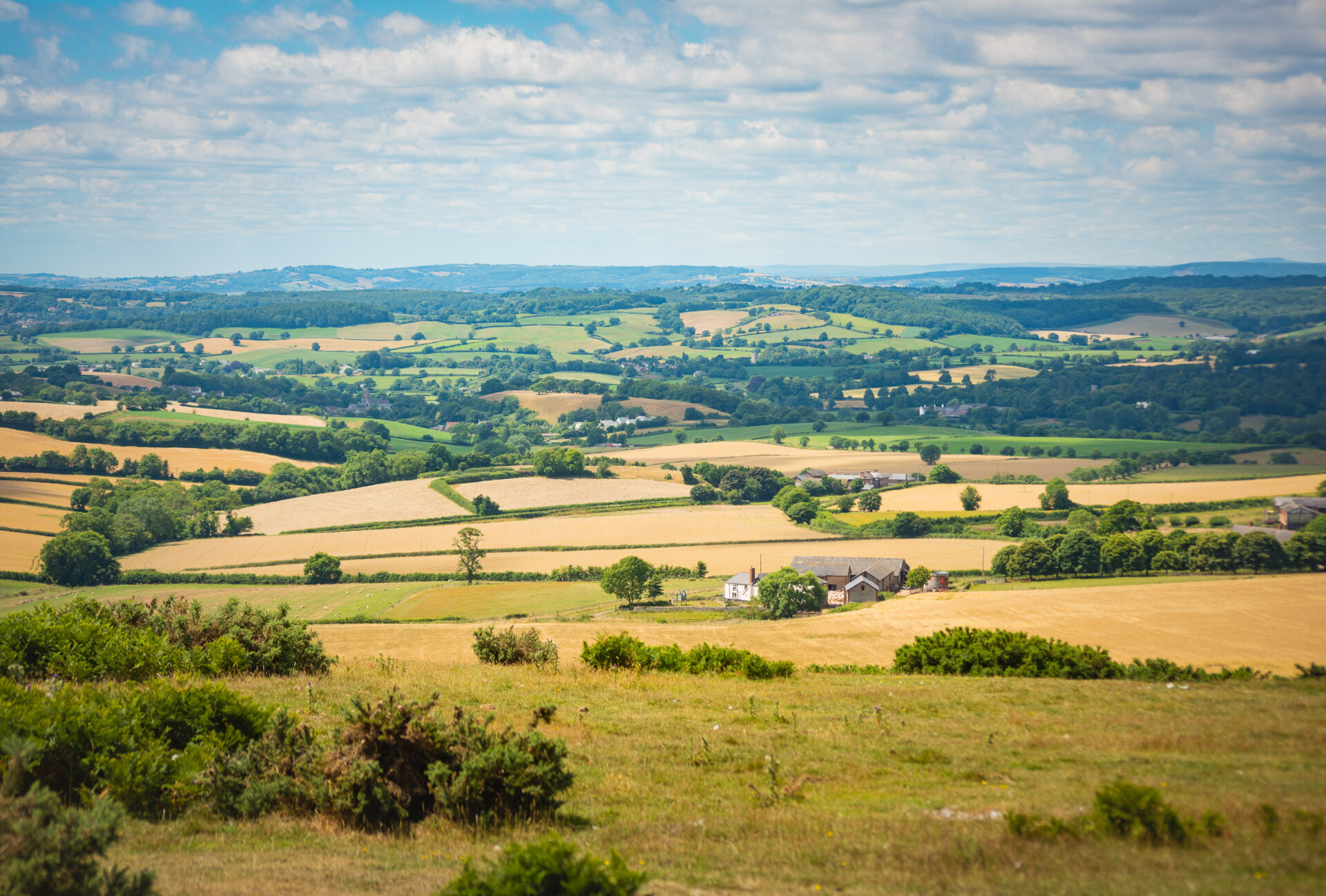 far reaching views across the pastoral landscape of east devon