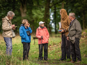 group in forest