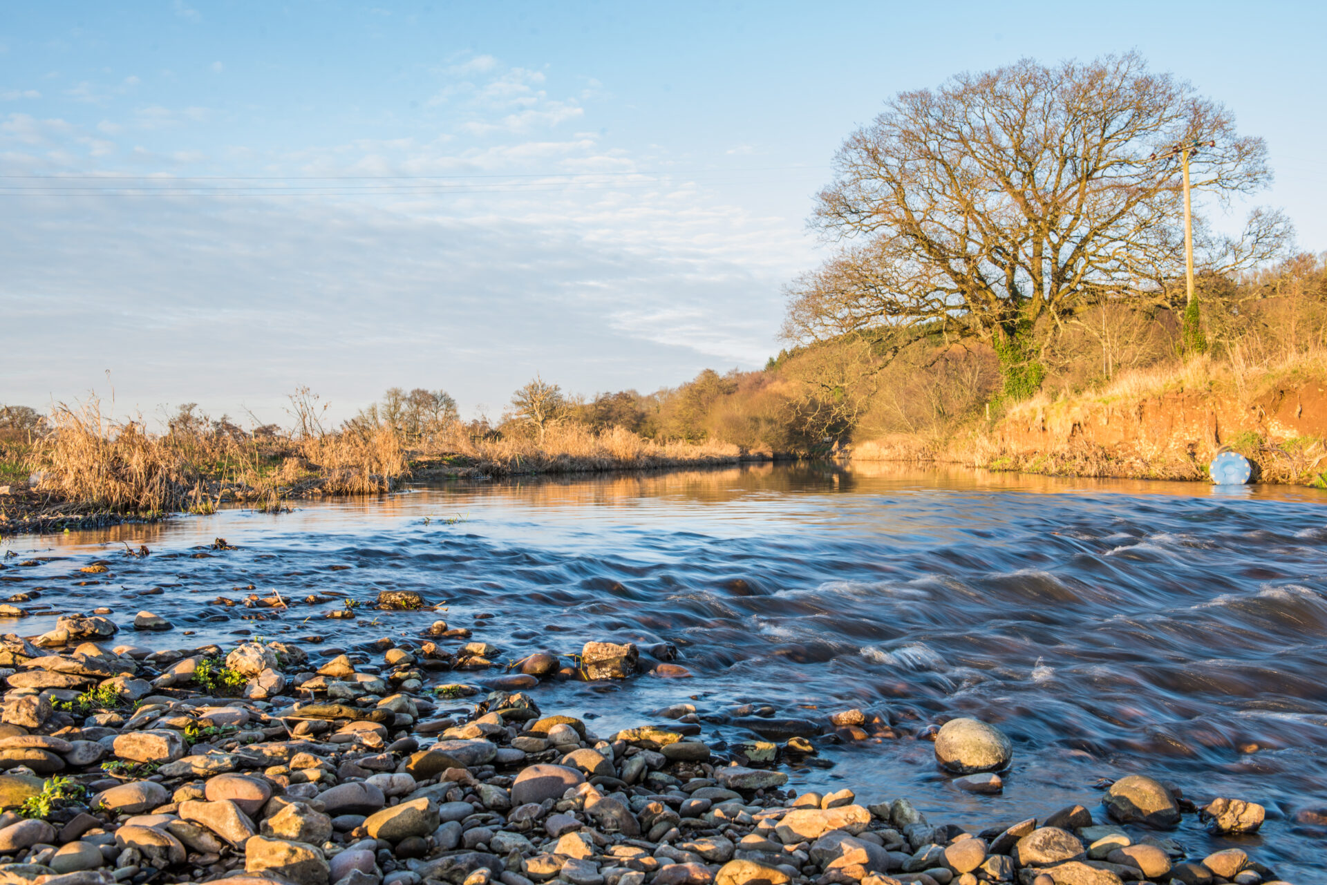 Stage 4: Sidbury to Aylesbeare Common