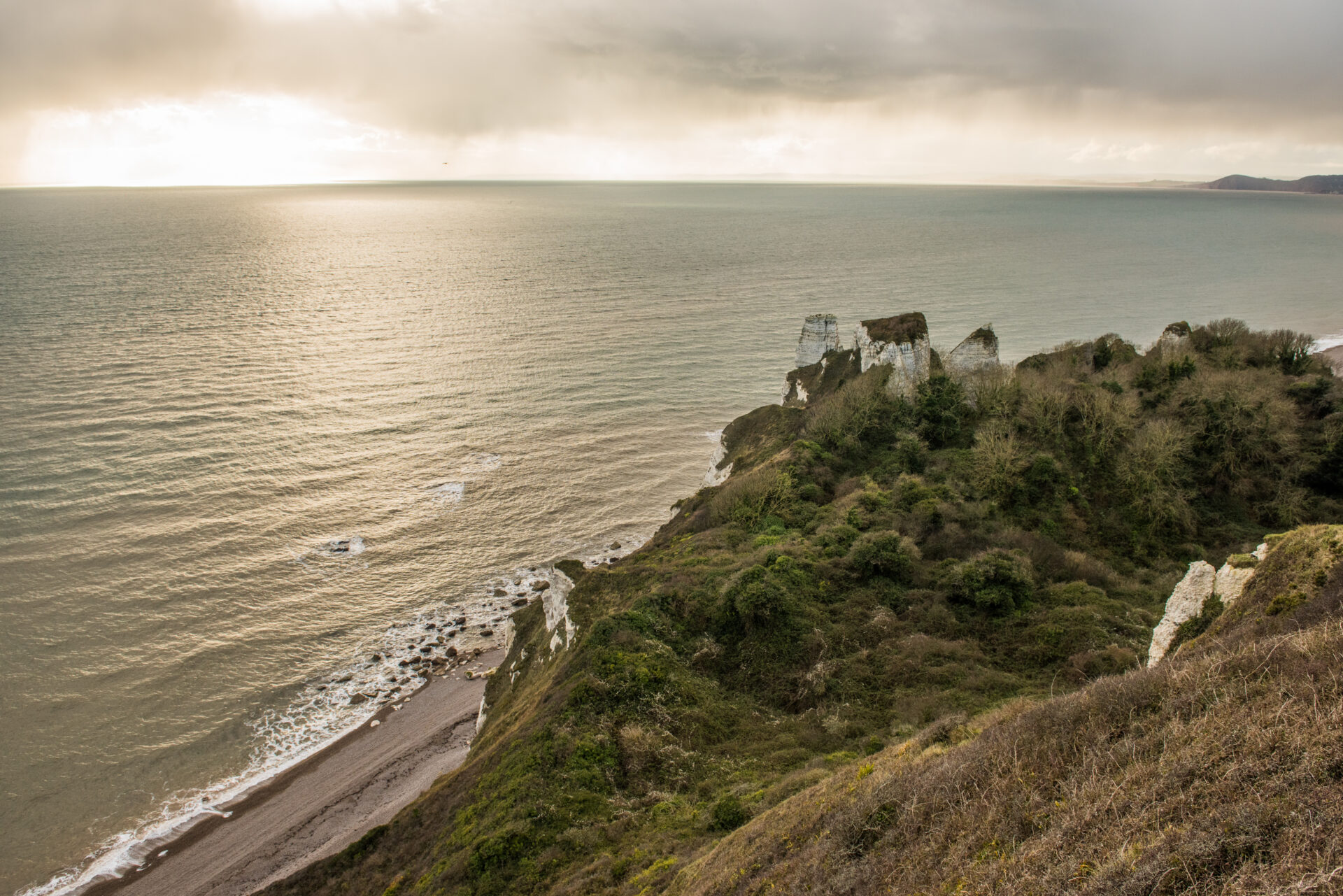 Beer to Colyton: EDW Link Route