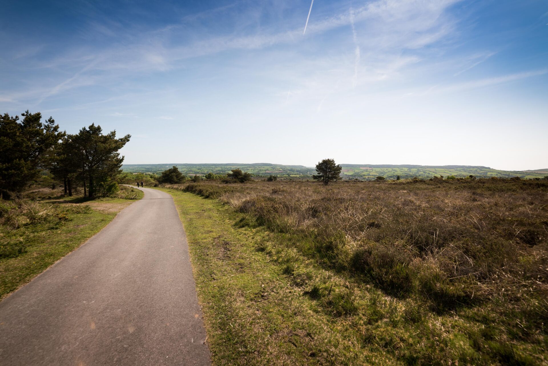Tarmac path through heathland