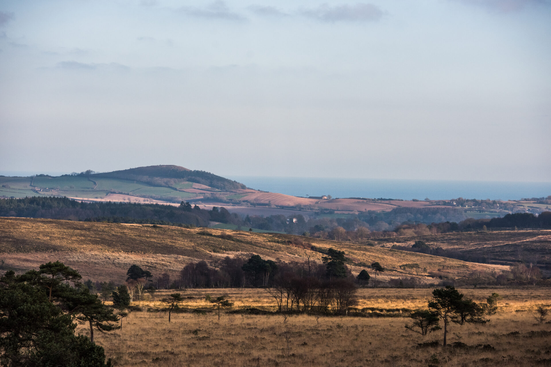Exmouth to Woodbury Castle: EDW Link Route