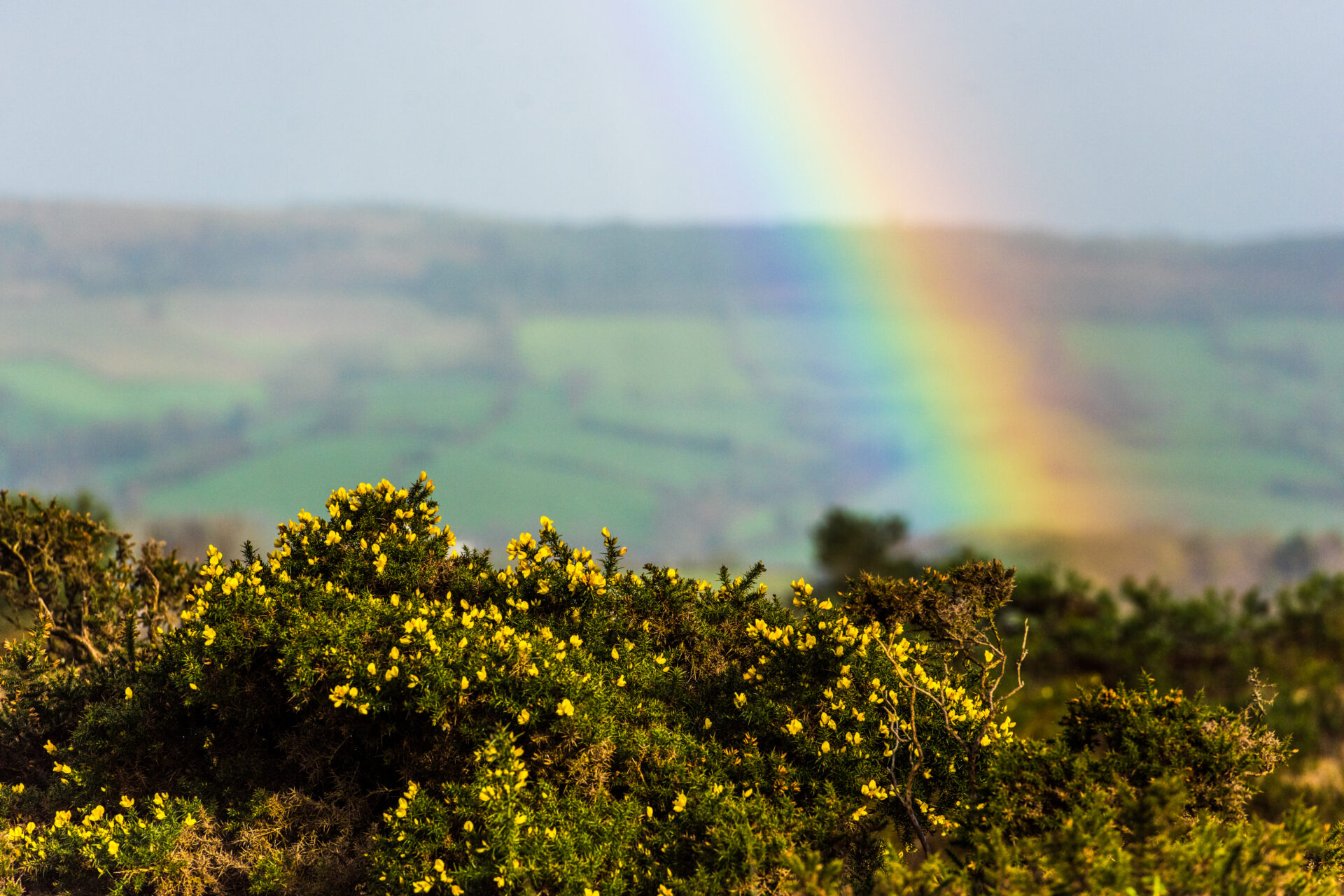 Welcome to our new website