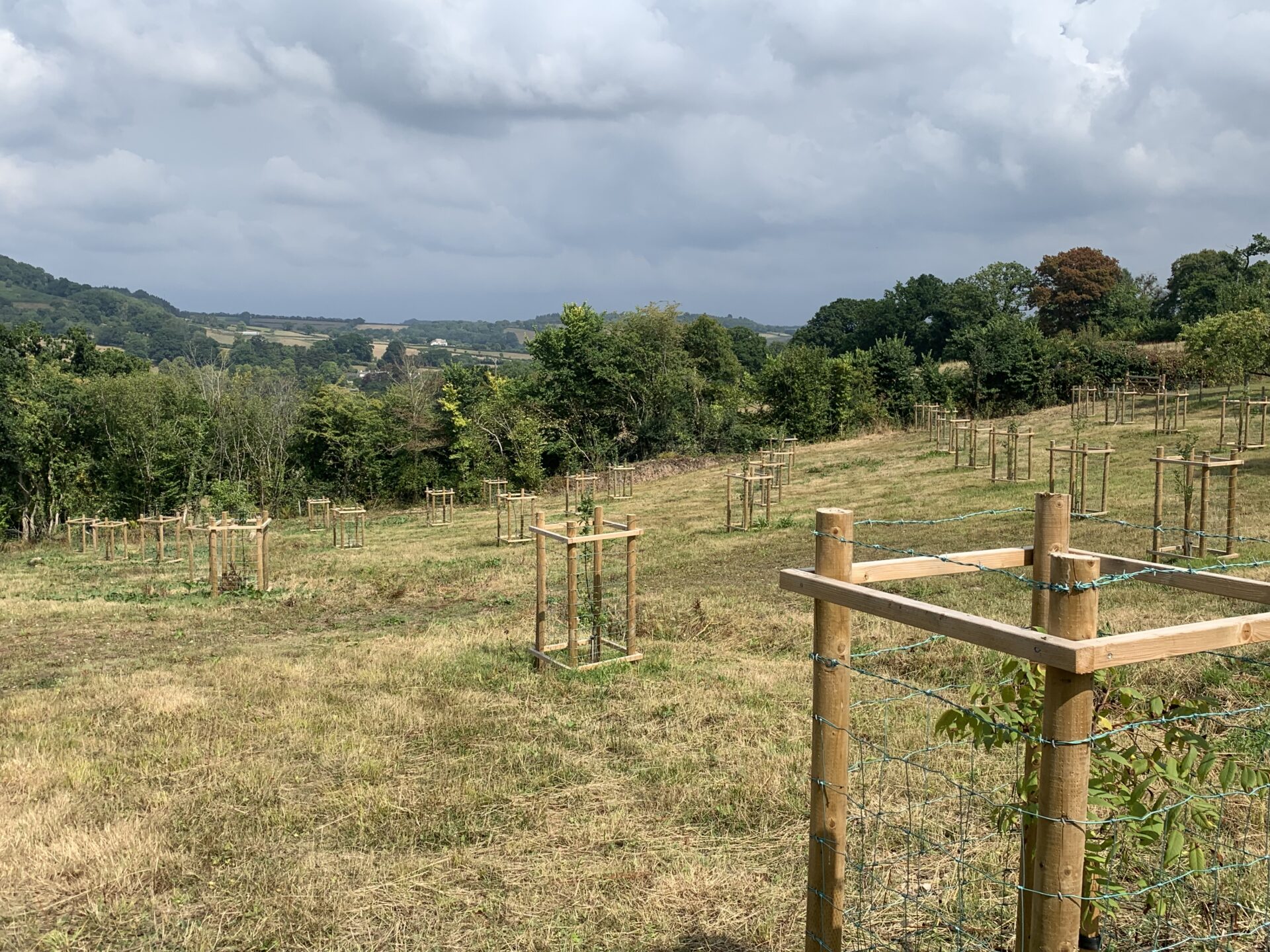 FiPL case study: Orchard Enhancements at Idehill Farm
