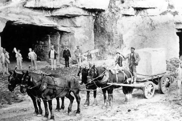 Old photo of horses ready to pull stone in black and white
