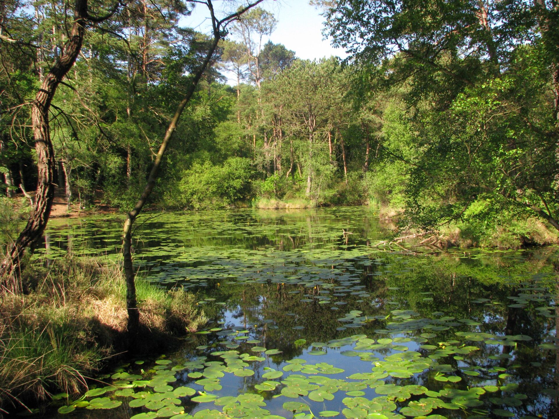 Bystock Pools Nature Reserve