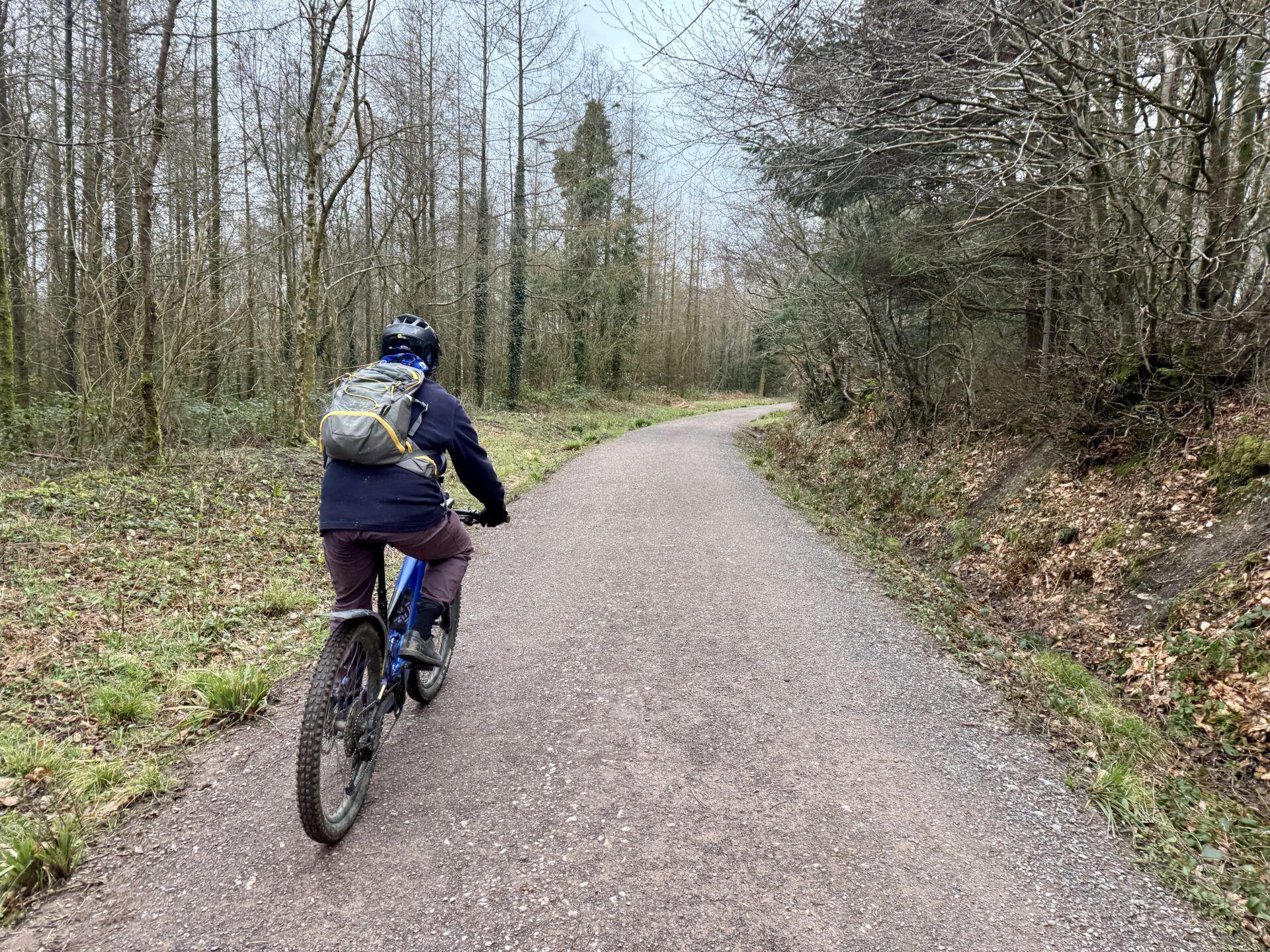 Core Copse at East Hill