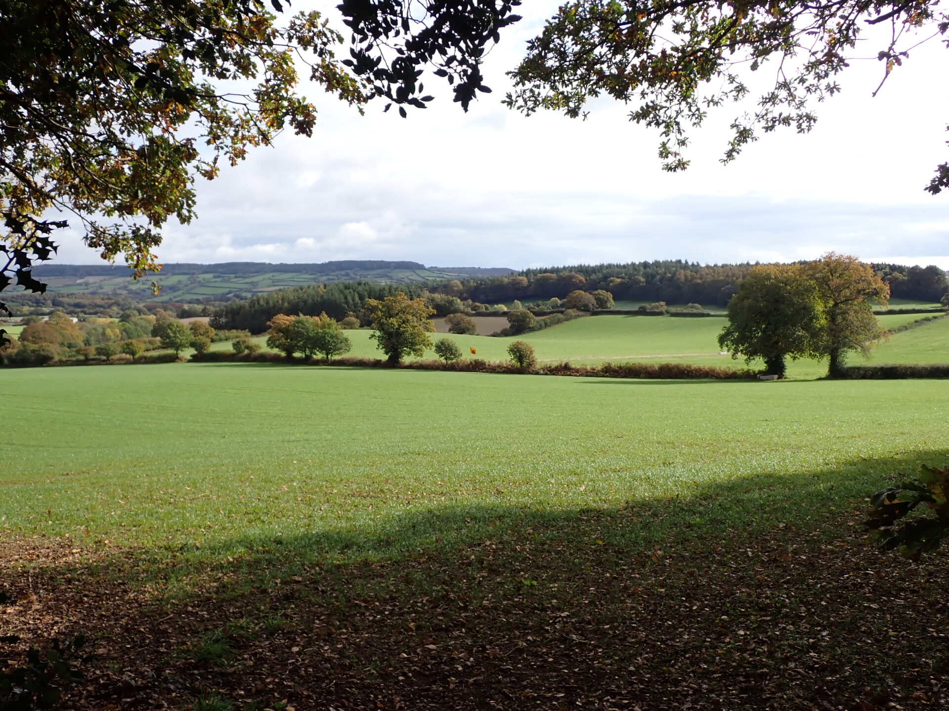 Colaton Raleigh Common Circular 2