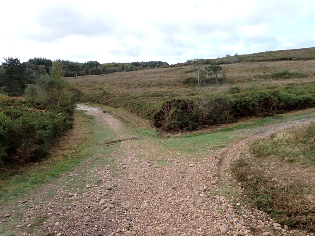 A sweeping graveled path through heathland