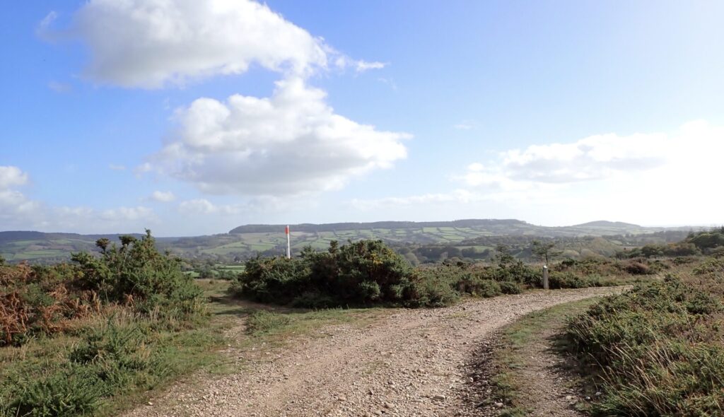 heathland with pebble path through middle