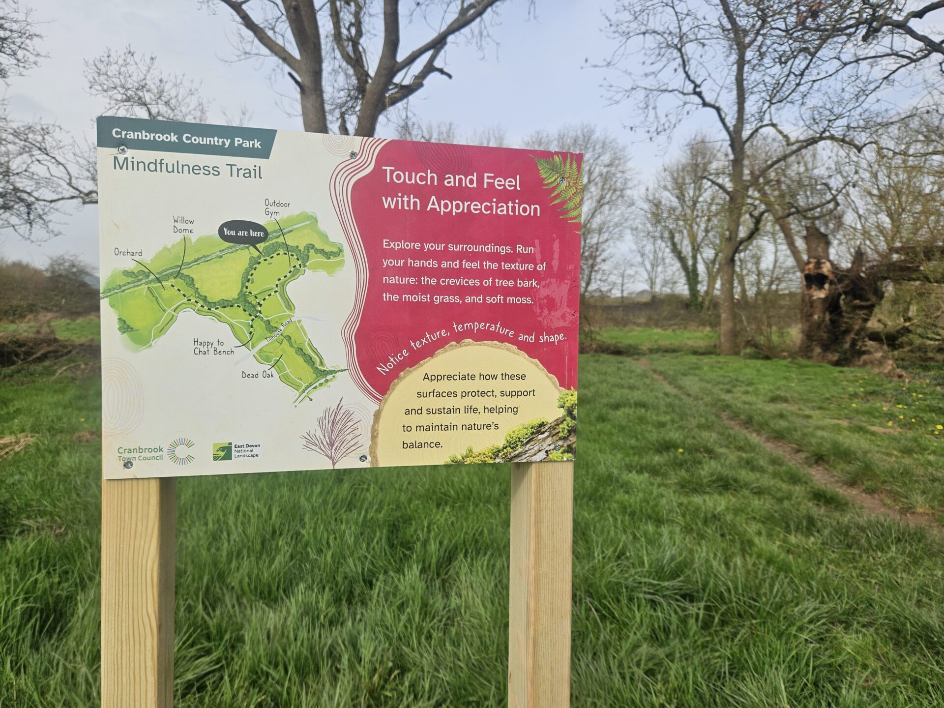 EDNL Case Study: Mindfulness Trail in Cranbrook