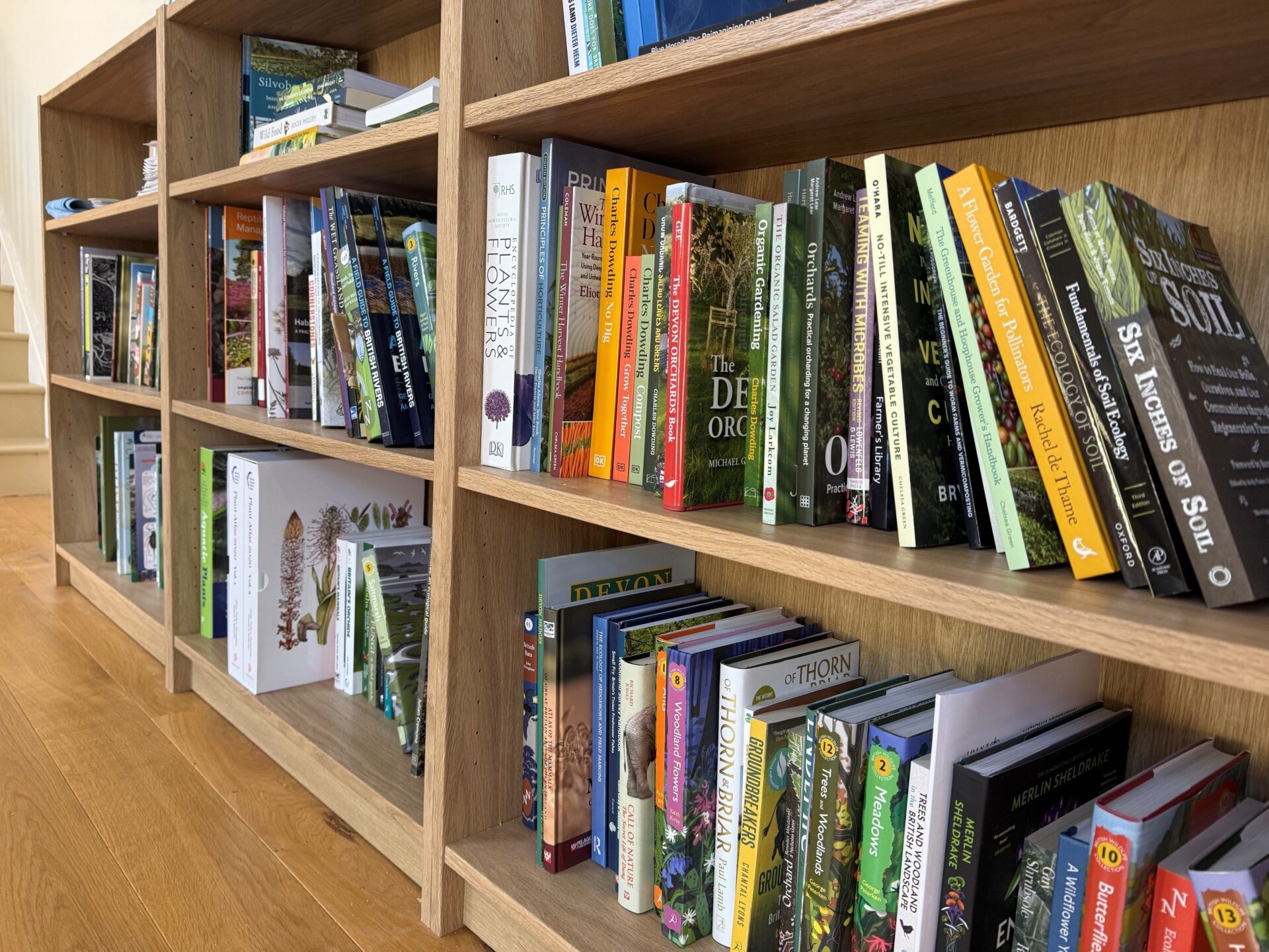 Shelves full of books