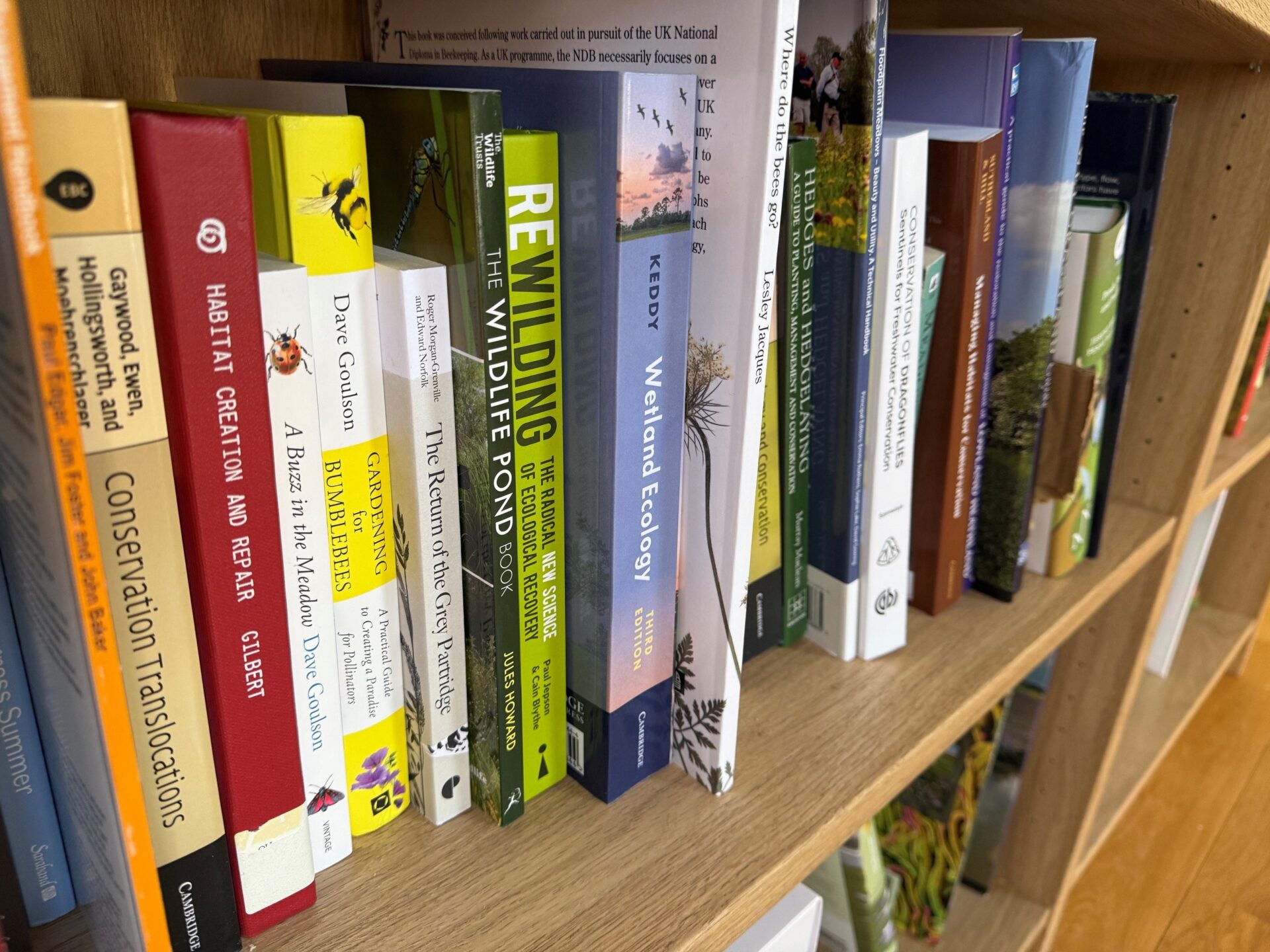 Books of wooden shelf