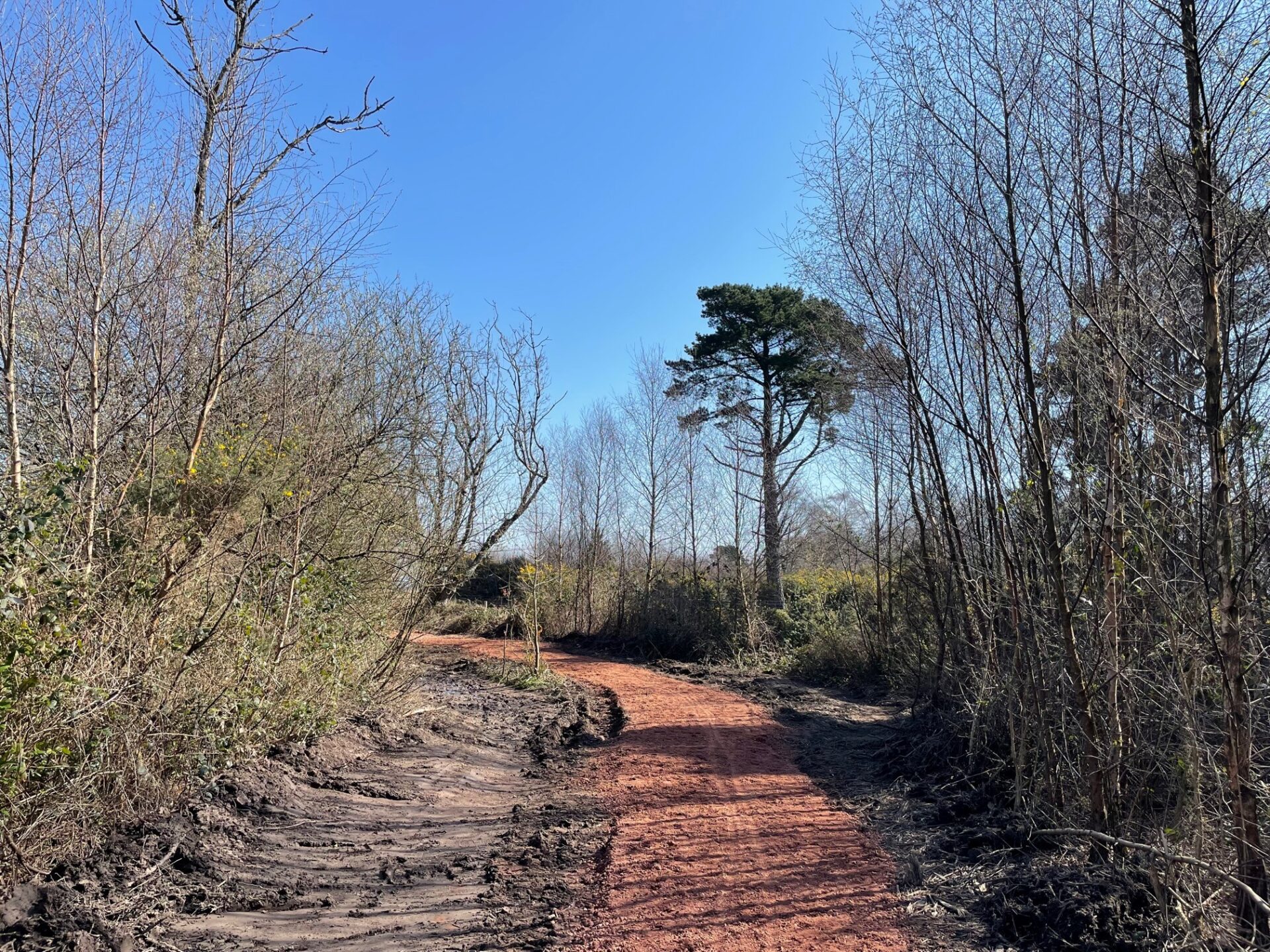 Access For All Case Study: Path Improvements